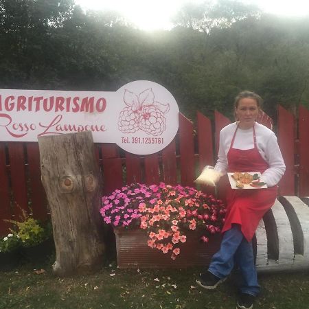 Agriturismo Rosso Lampone Cerreto Laziale ภายนอก รูปภาพ
