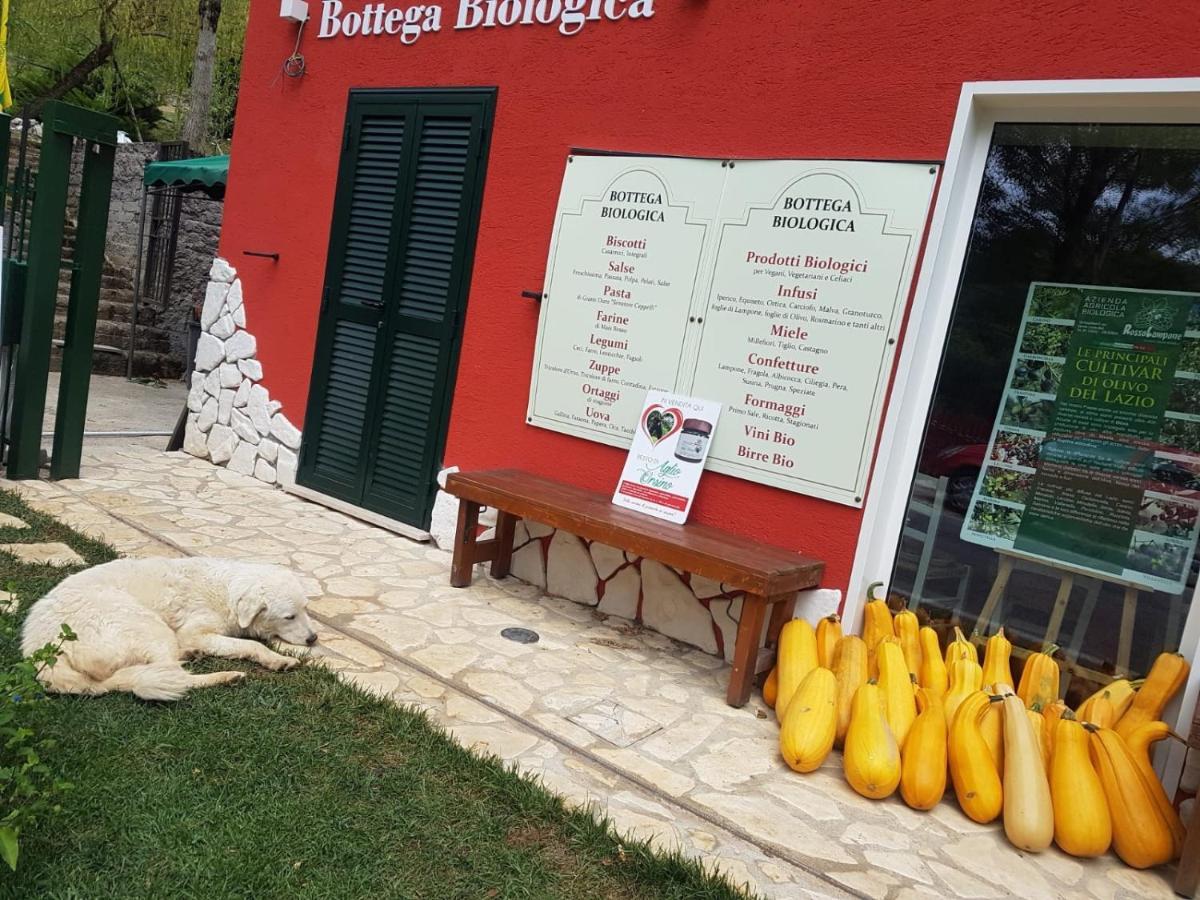 Agriturismo Rosso Lampone Cerreto Laziale ภายนอก รูปภาพ