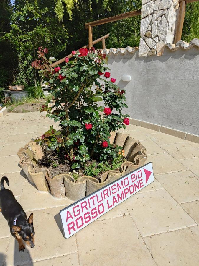 Agriturismo Rosso Lampone Cerreto Laziale ภายนอก รูปภาพ